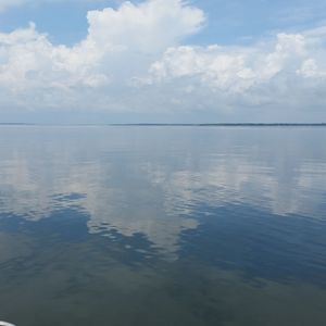 Meet your Posher, Angelia